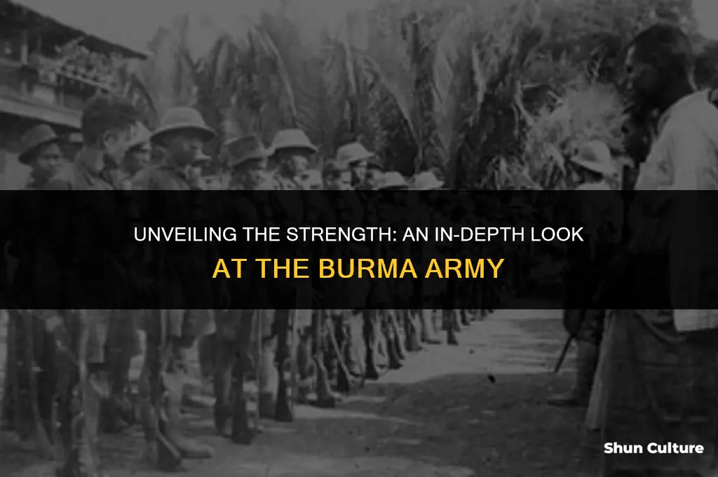 how big is burma army