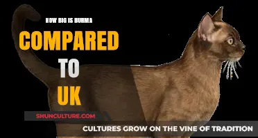Exploring the Size Comparison Between Burma and the UK