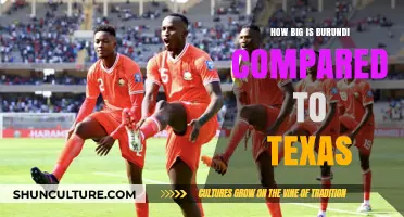 Burundi vs. Texas: A Comparative Look at Their Sizes