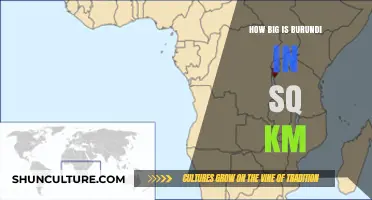 Exploring Burundi: A Comprehensive Guide to Its Size and Geography