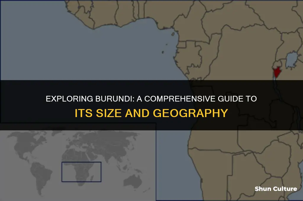 how big is burundi in sq km