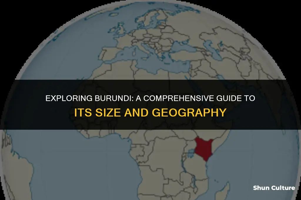 how big is burundi