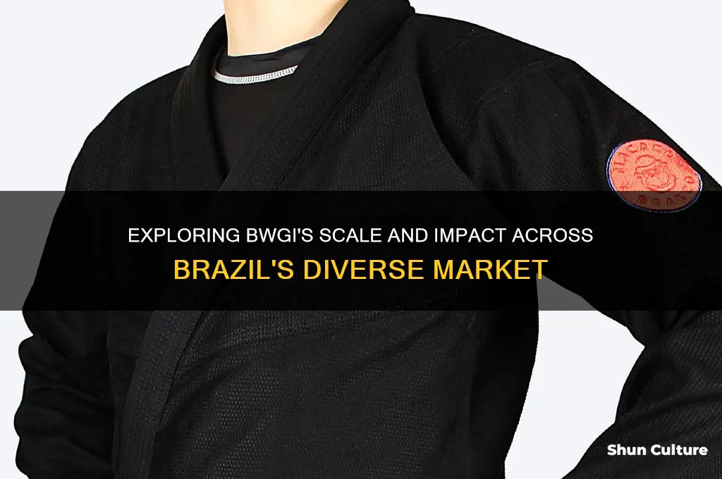 how big is bwgi in brazil