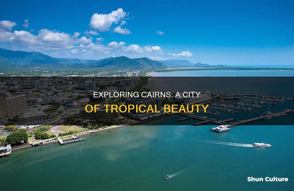 how big is cairns australia