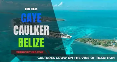 Exploring Caye Caulker: A Small Belizean Paradise