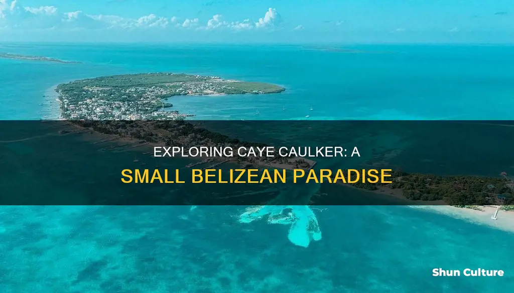 how big is caye caulker belize