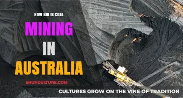 Australia's Coal Mining: A Giant Industry Overview