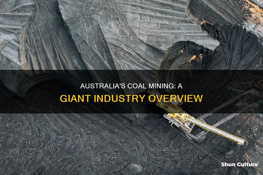 how big is coal mining in australia