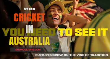 Cricket in Australia: A National Obsession