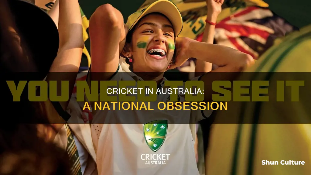 how big is cricket in australia