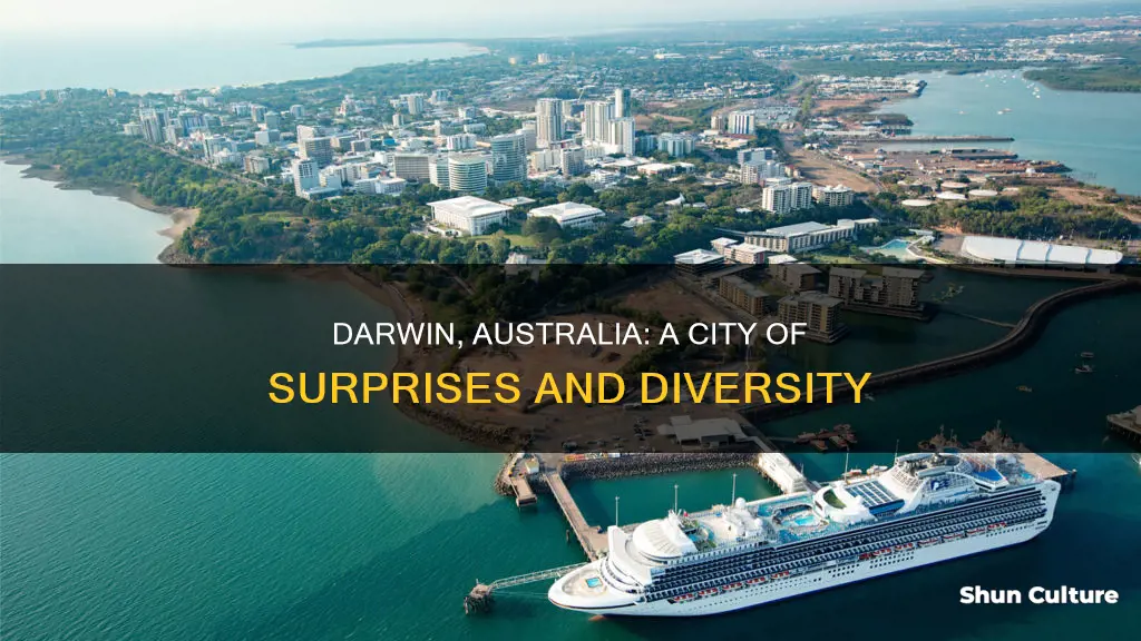 how big is darwin australia