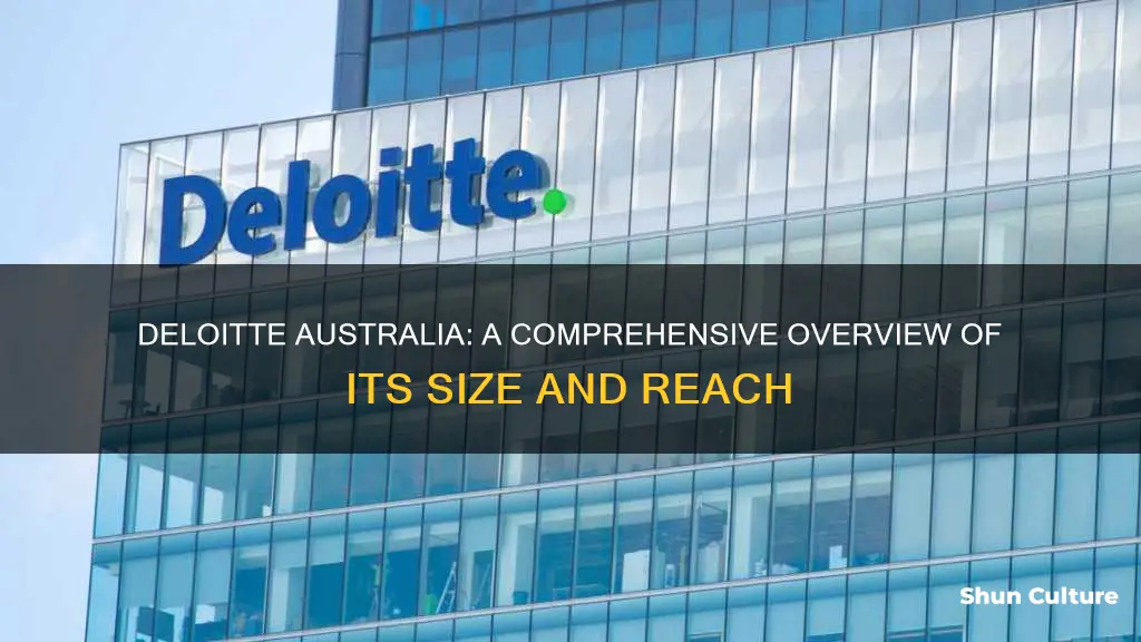 how big is deloitte australia