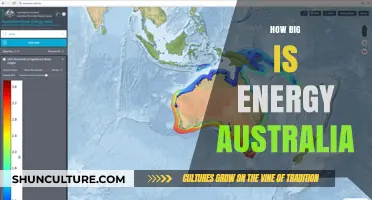 Energy Australia's Massive Scale and Influence