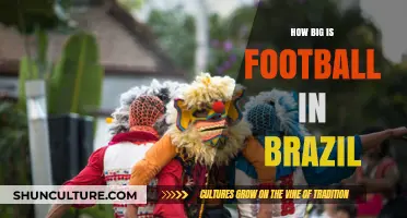 Brazil's Football Obsession: A Cultural Phenomenon and National Passion