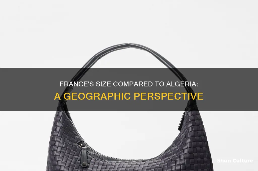 how big is france from algeria