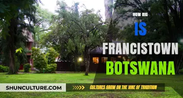 Exploring Francistown, Botswana: Size, Significance, and Surprising Facts