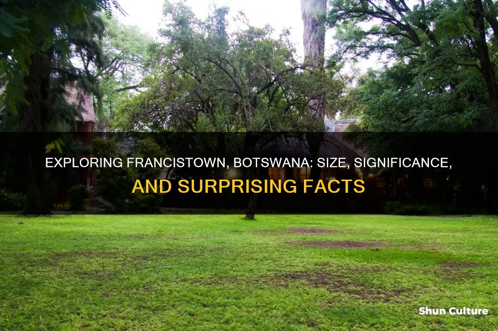 how big is francistown botswana