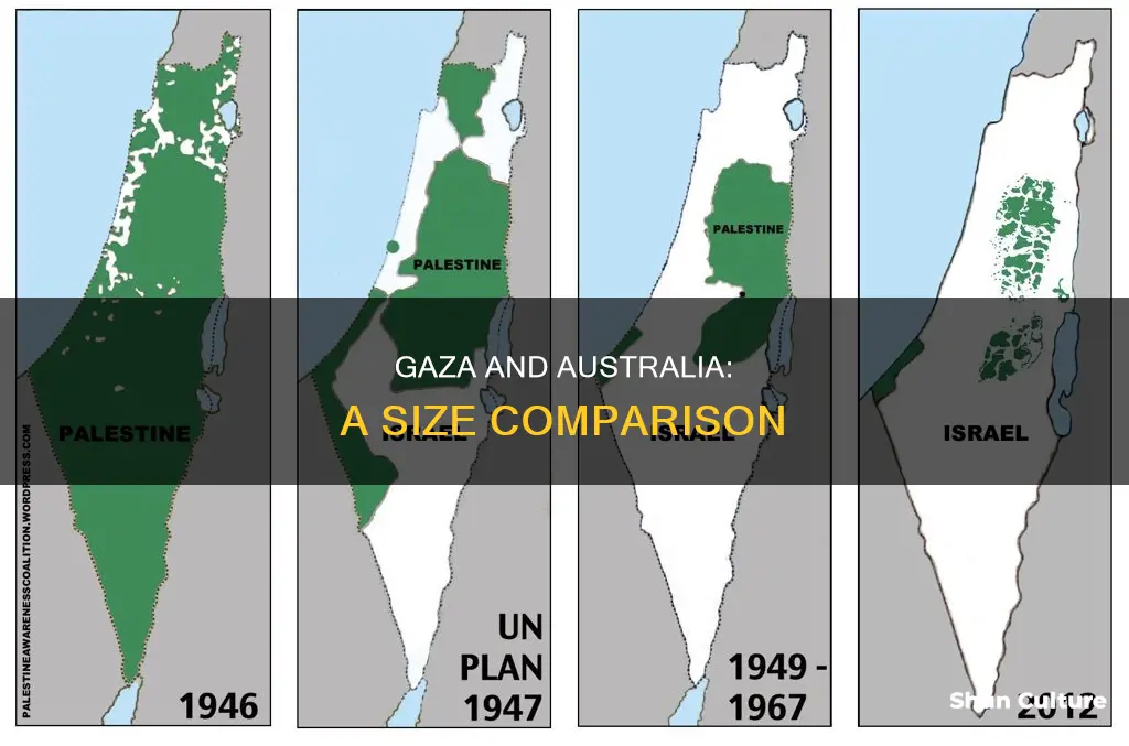 how big is gaza compared to australia