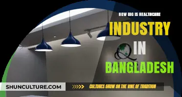 Exploring Bangladesh's Healthcare Industry: Size, Growth, and Economic Impact