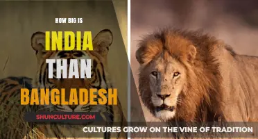 India vs. Bangladesh: A Comparative Analysis of Size and Geography