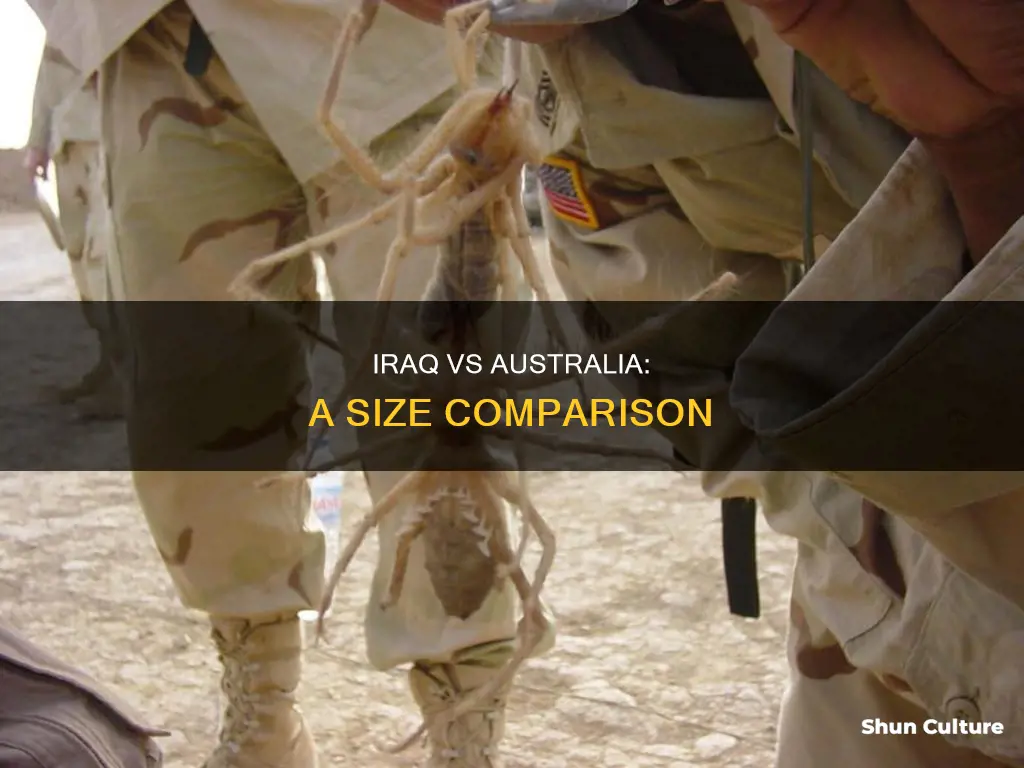 how big is iraq compared to australia