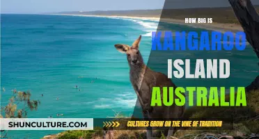 Kangaroo Island: Australia's Wildlife Haven