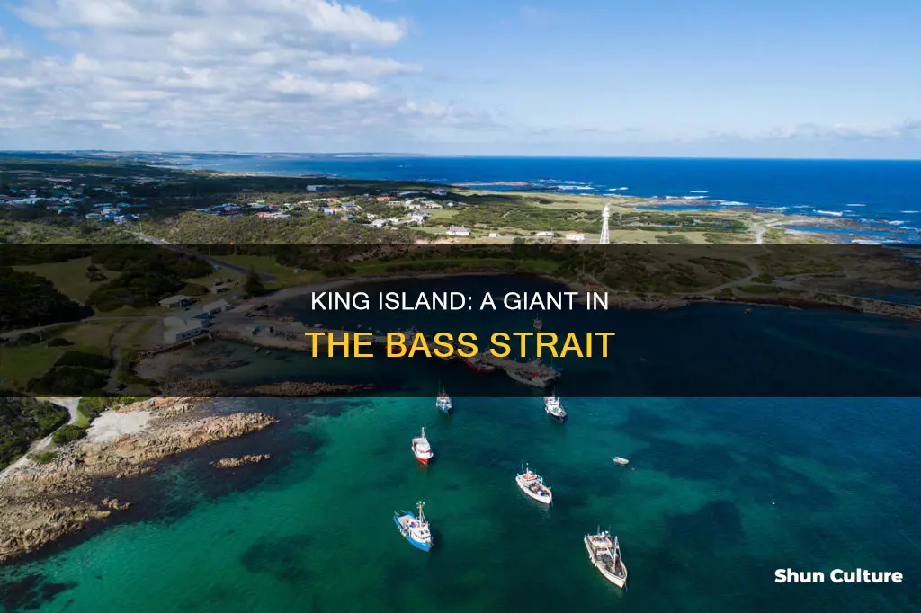 how big is king island australia