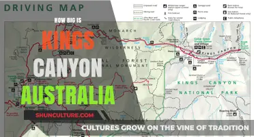 Discovering the Vastness of Kings Canyon, Australia
