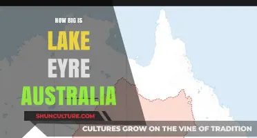 Lake Eyre: Australia's Enigmatic Giant