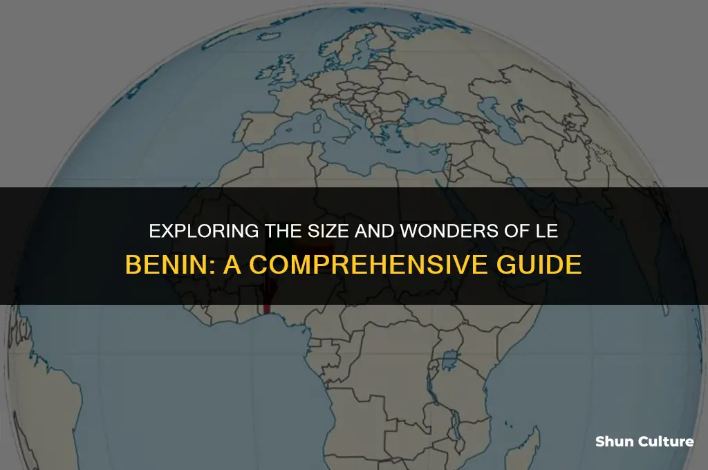 how big is le benin