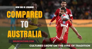 Exploring Lebanon's Size Compared to Australia
