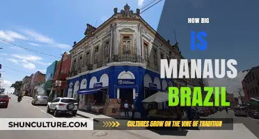Exploring Manaus: Size, Significance, and Surprises in Brazil's Amazon