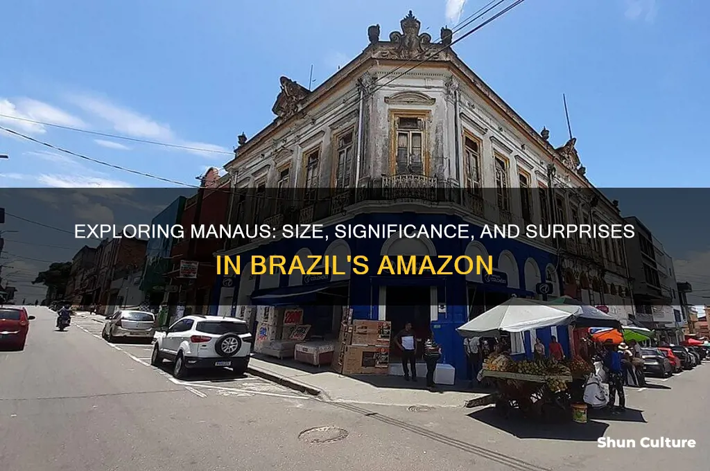 how big is manaus brazil
