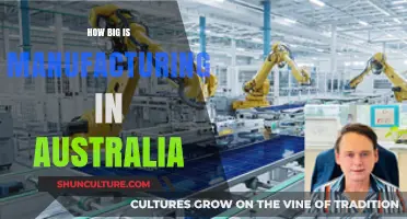 The Size of Australia's Manufacturing Sector