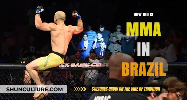 Brazil's MMA Dominance: Uncovering the Sport's Massive Popularity and Impact
