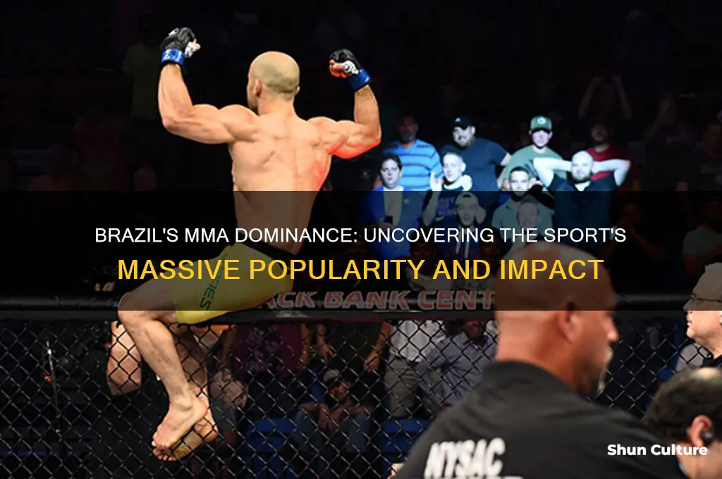 how big is mma in brazil
