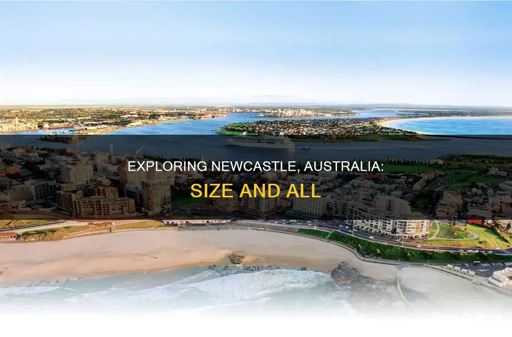 how big is newcastle australia