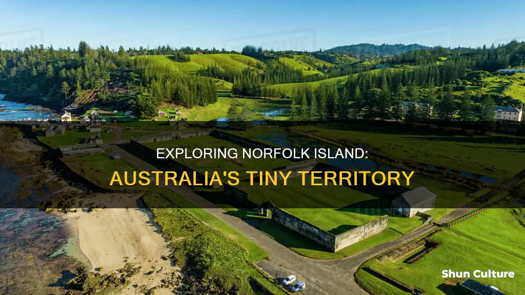 how big is norfolk island australia
