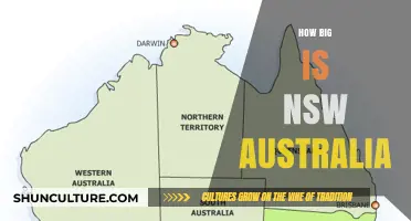 Exploring NSW: Massive Territory, Massive Opportunities