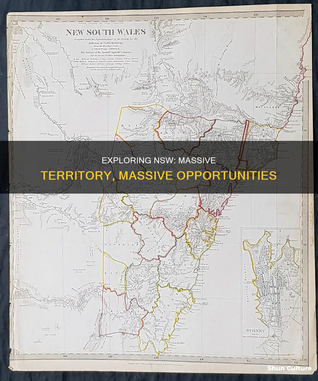 how big is nsw australia
