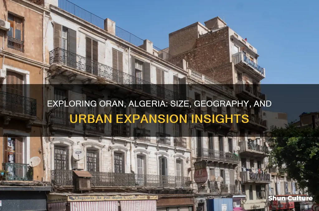 how big is oran algeria