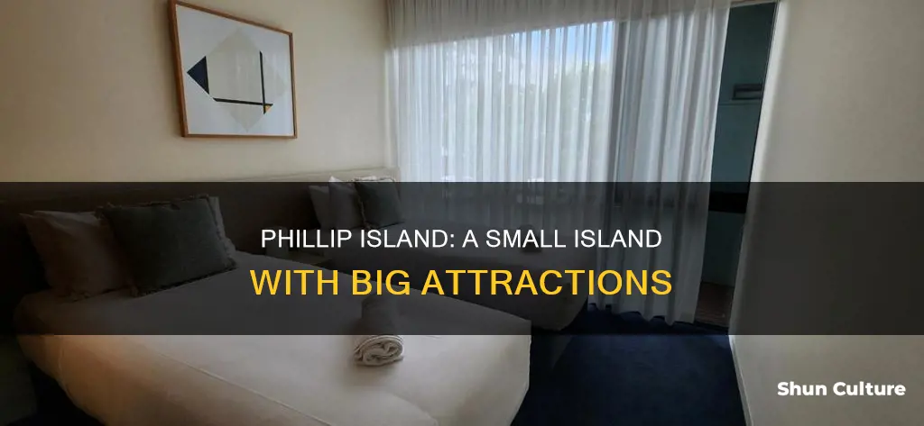 how big is phillip island australia