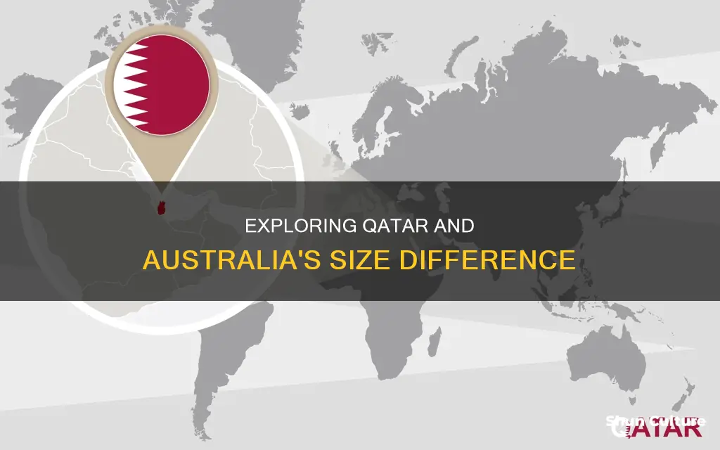 how big is qatar compared to australia