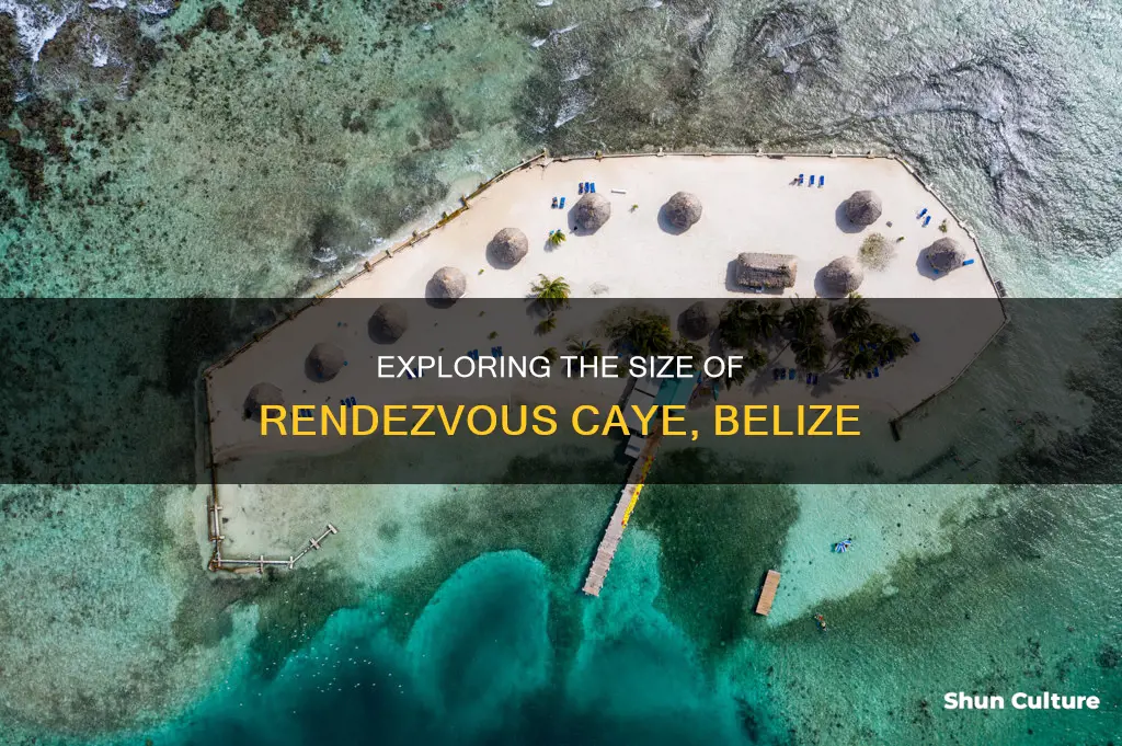 how big is rendezvous caye belize