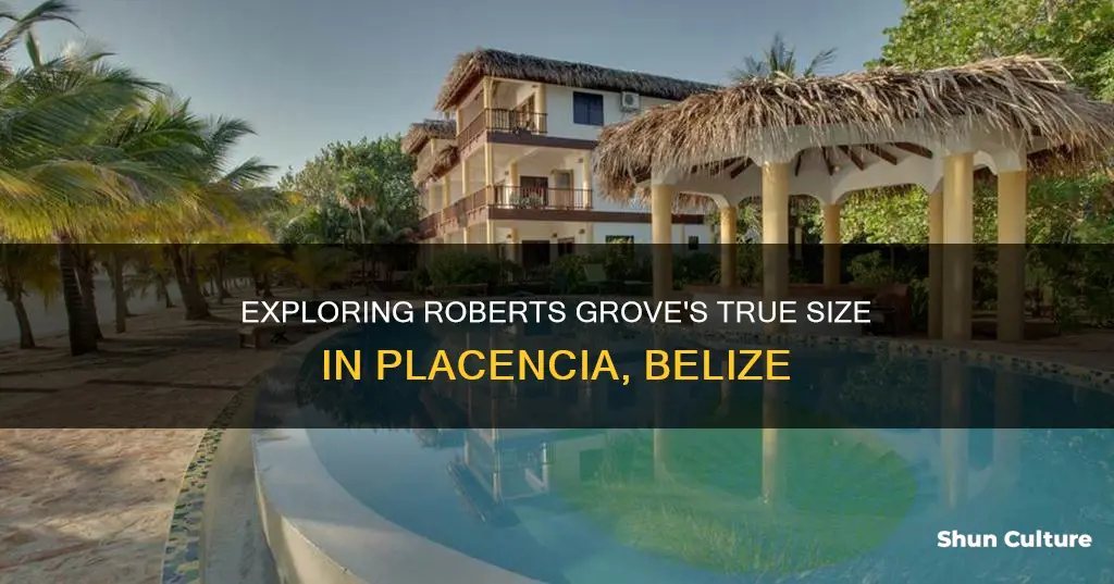 how big is roberts grove in placencia belize