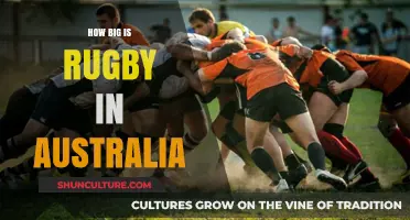 Rugby's Massive Australian Fanbase: A Cultural Phenomenon