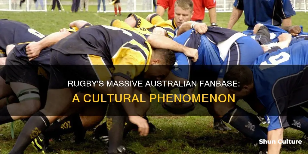 how big is rugby in australia