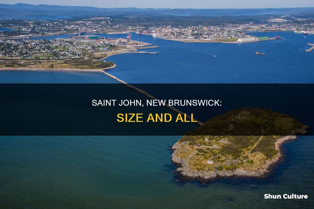 how big is saint john new brunswick