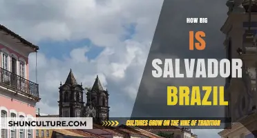 Exploring Salvador, Brazil: Unveiling the City's Size and Charm