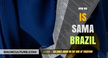 Exploring Sama Brazil's Size: A Comprehensive Guide to Its Scale